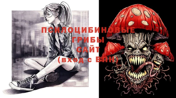 ешки Алексин