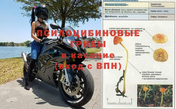a pvp Алексеевка
