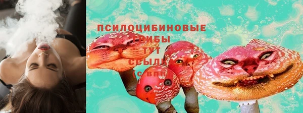 a pvp Алзамай