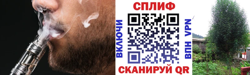 Канабис план  купить наркотик  Сатка 